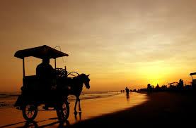 Jogja ramai, Berlibur ke Jogja, Kunjungan ke Pantai Jogja, Liburan sekolah di Jogja, paket wisata Jogja75